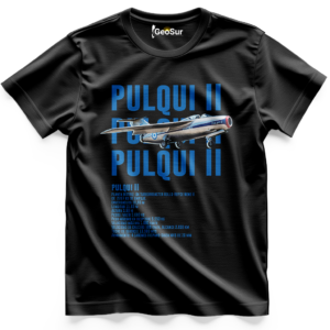REMERA PULQUI II